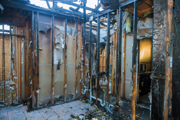 Professional Fire Damage Repair technician working in Sheffield, OH
